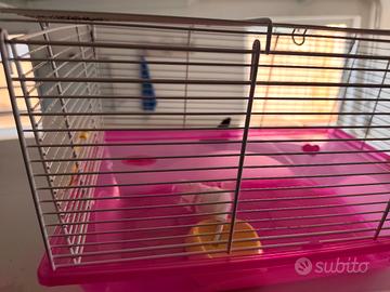 gabbia per criceti o altri roditori
