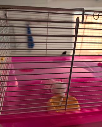 gabbia per criceti o altri roditori