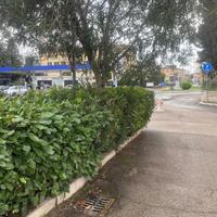 Appartamento Terni [Cod. rif 3302781VRG]