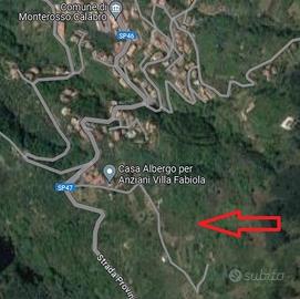 Terreno, Uliveto, Fabbricato Rurale