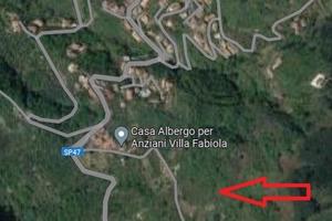 Terreno, Uliveto, Fabbricato Rurale