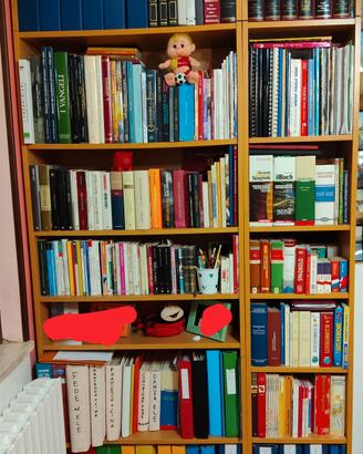 mobile ponte senza letto e libreria 