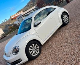 New beetle