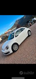 New beetle