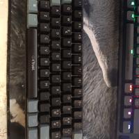 Tastiera meccanica 60% Rgb