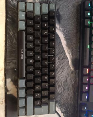Tastiera meccanica 60% Rgb
