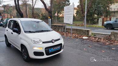 Fiat Panda 1.2Benzina Euro6 Neopatentati - 2015