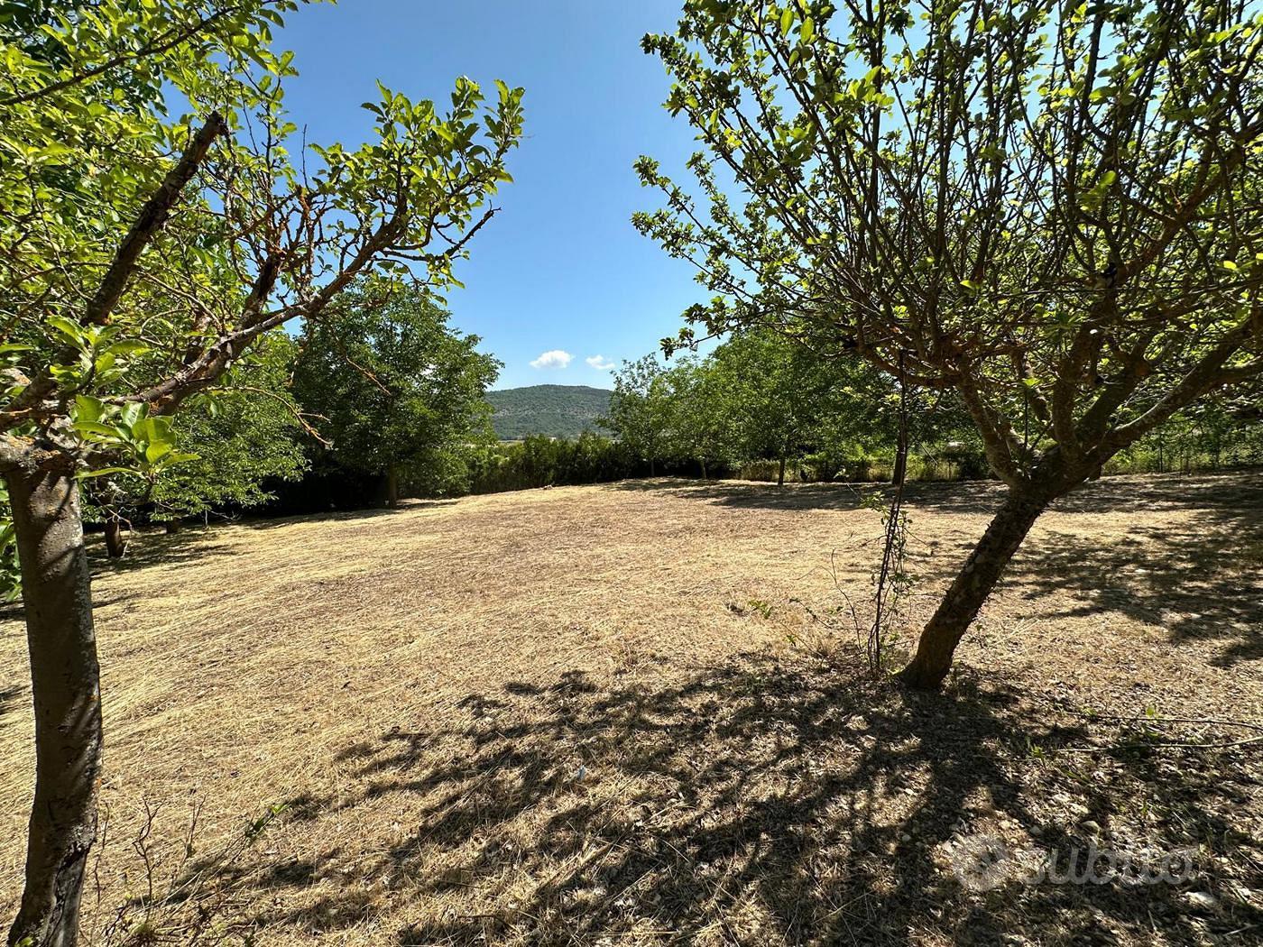 Terreno Residenziale Caporciano [GRE743VRG] - Vista 3