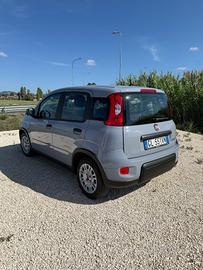 Fiat Panda 1.0 Hybrid Connect