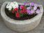 Immagine 28