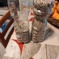 pietre ciottoli decorazioni per acquario 