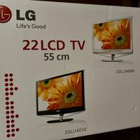 TV 22 pollici LG 22LU4000