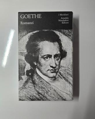 romanzi di Goethe 