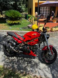 Ducati monster