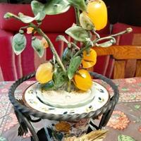 vasetto portavaso ferro e piantina in vetro 26x14