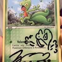 Treecko Sketchato e Firmato da Midori Harada