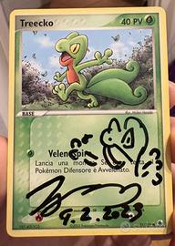 Treecko Sketchato e Firmato da Midori Harada