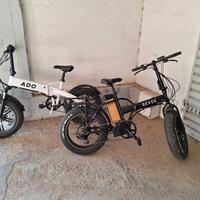 fat e-bike elettriche trattabile permuto