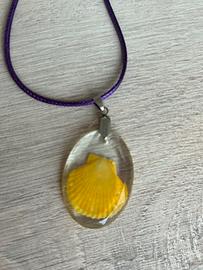 Collanina ciondolo conchiglia resina giallo viola