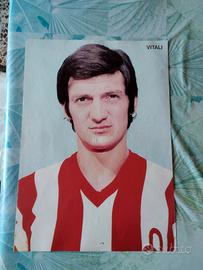 Poster di Vitali e Bui ......10 euro cad.