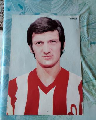 Poster di Vitali e Bui ......10 euro cad.
