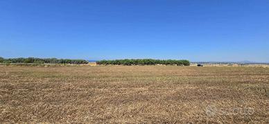 Terreno di 20000 m² a Tarquinia