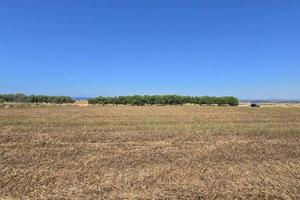 Terreno di 20000 m² a Tarquinia