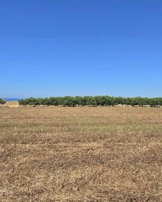 Terreno di 20000 m² a Tarquinia