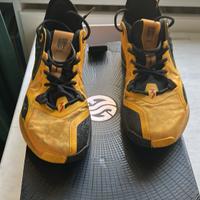 Scarpe BASKET ZEN 5,0 THE MILE HIGHT CITY