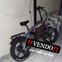 Bici elettrica 750w