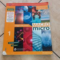 macro micro
