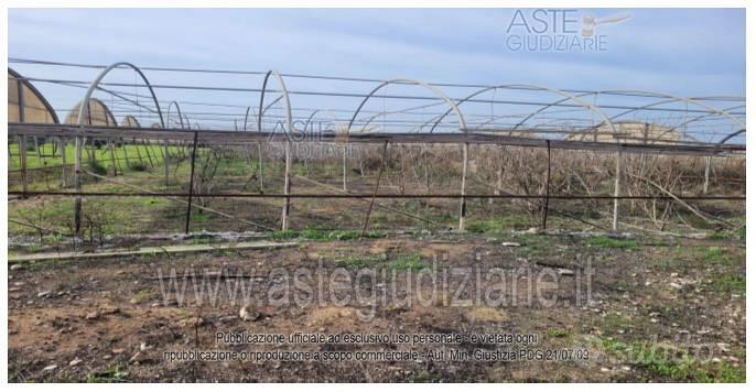 Terreno Agricolo Vittoria [A4348688] - Vista 5