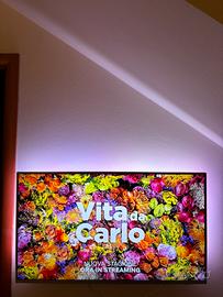 Tv Philips led 6800 ambilight 50 pollici