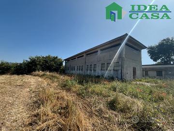 Capannone Agricolo per impianti zootecnici