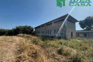 Capannone Agricolo per impianti zootecnici