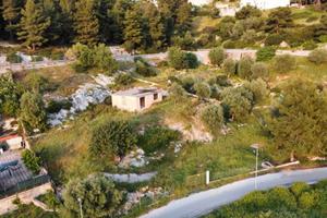 Immobile con Terreno