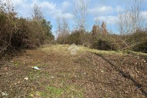 TER. AGRICOLO A SAN MICHELE DI SERINO