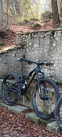 Mtb Orbea Occam 29 alu