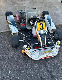 Go kart 100cc  crg