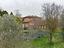 Immagine 21