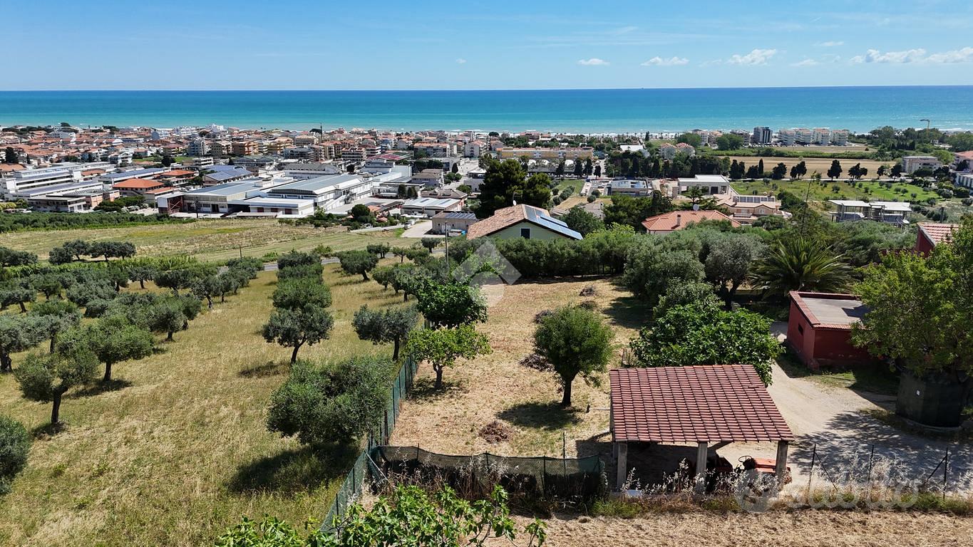 TERRENO A TORTORETO - Altro