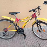 MTB Silverstar