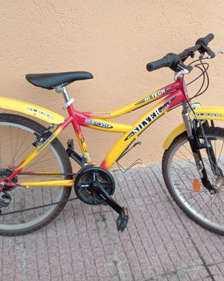 MTB Silverstar