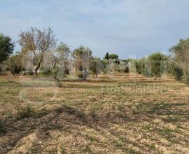 Terreno Residenziale Carovigno