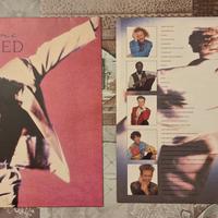 vinile Simply Red "A New Flame"
