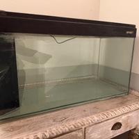 acquario 90 litri