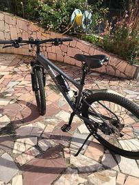 Mtb bmw