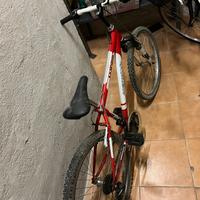 Bicicletta da bambino 8 - 12 anni