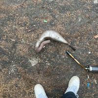 Marmitta per motocross 50