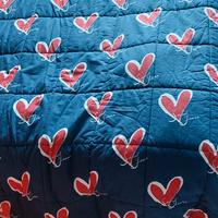 trapunta -copriletto double face 1 piazza Caleffi